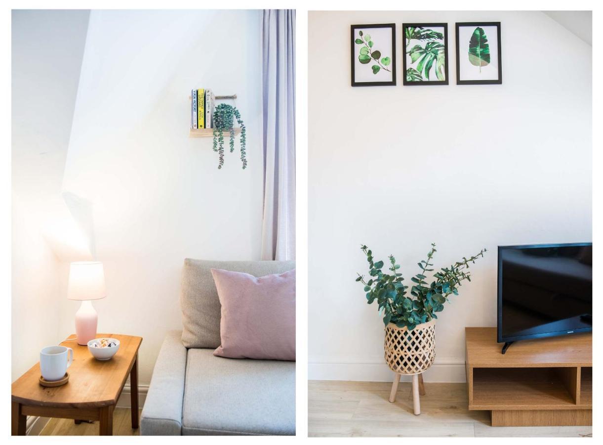 1 Bed Central Cardiff Loft Apartment Near Stadium Exteriör bild